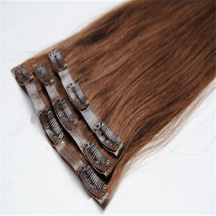 Remy Human Hair Clip Ins H2